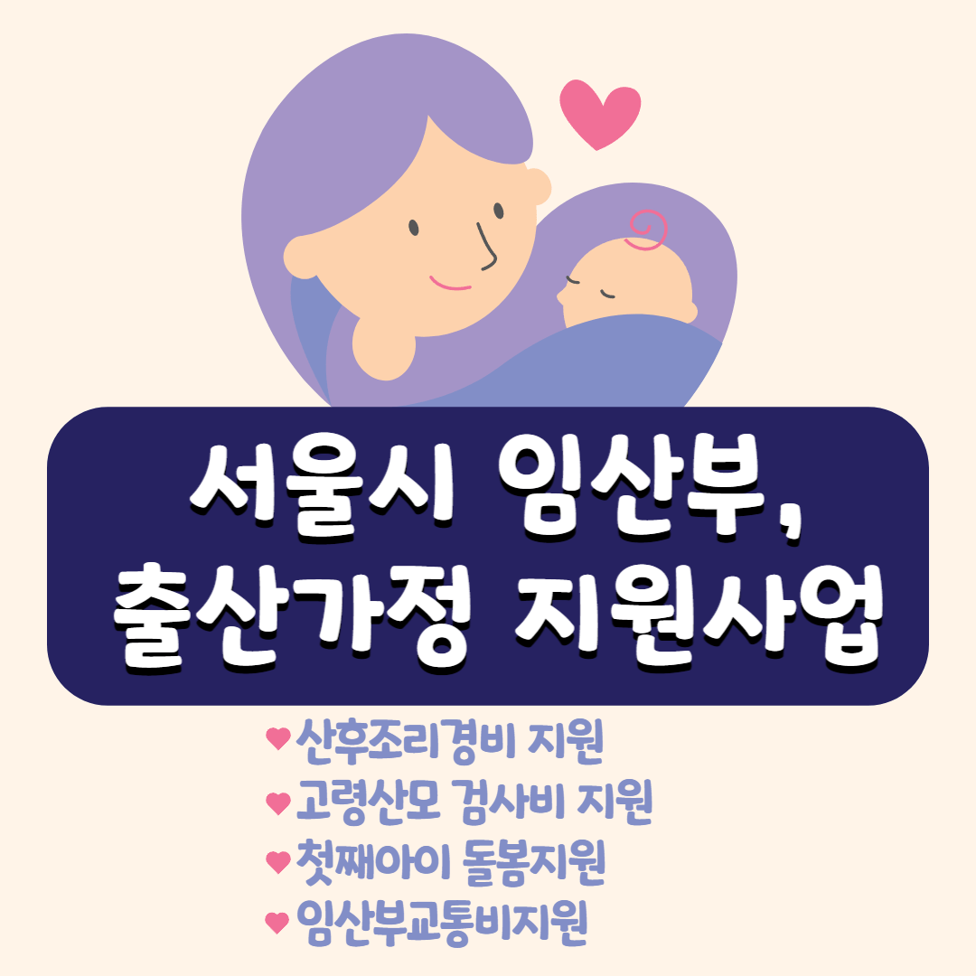 서울시임산부출산가정지원