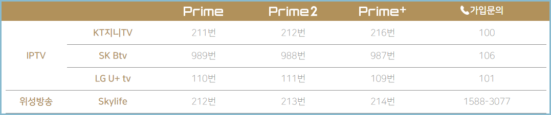 스포티비-프라임-채널번호