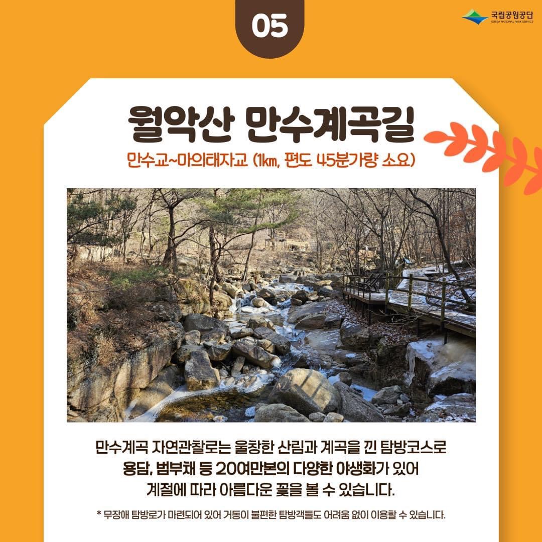 가을단풍