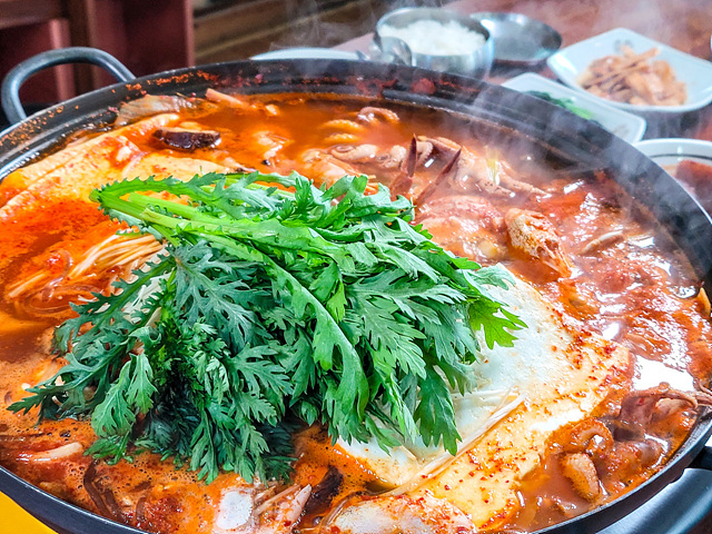 경주 보문단지 근처 맛집 벚꽃여행 현지인 추천 블루판다 보문갈비 가마솥양푼이밥상 보문뜰 우마왕 전통맷돌순두부 경주고기 낙지마실 조돌칼국수 갈치조림구이 토박이식당