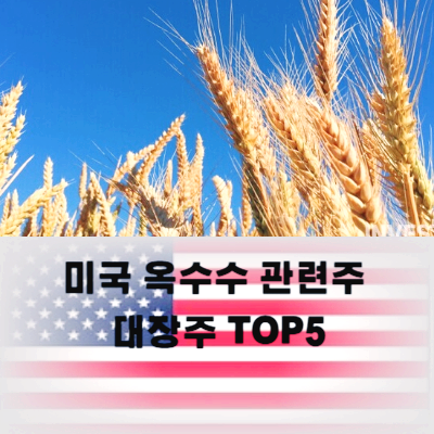 미국 옥수수 관련주 대장주 식량주 TOP5
