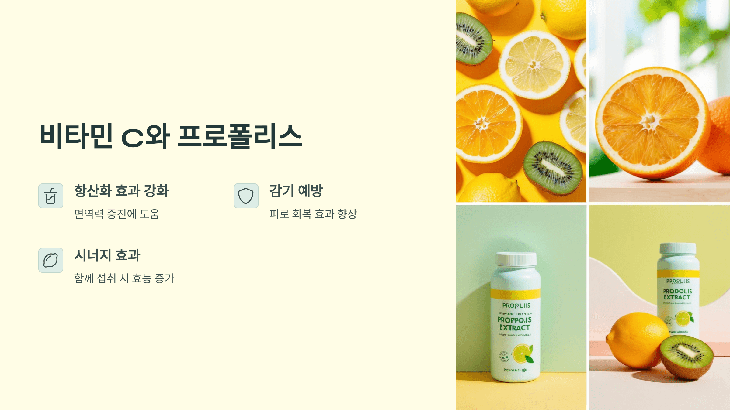 프로폴리스와 관련된 사진입니다.