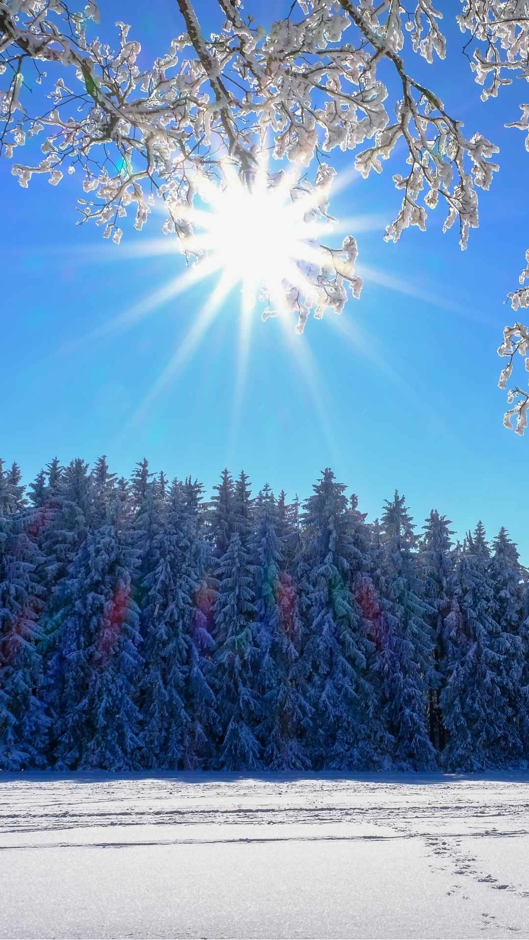 snow wallpaper