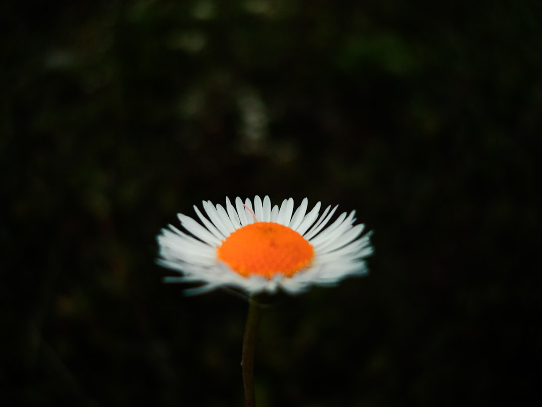 Selection