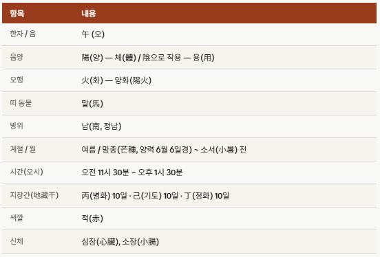 오화에 대해 이해합니다.