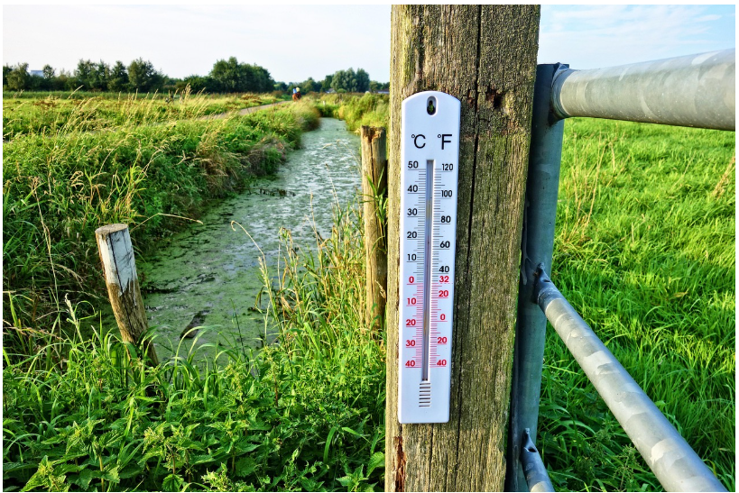 온도변화가 미치는 영향 &mdash; 우리 몸과 환경의 균형이 흔들릴 때