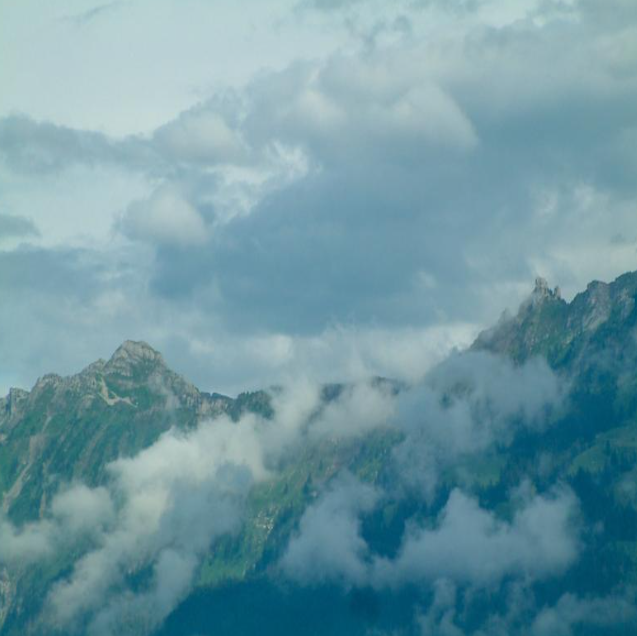 하와이 대저택 &amp;lt;더 마인드&amp;gt;