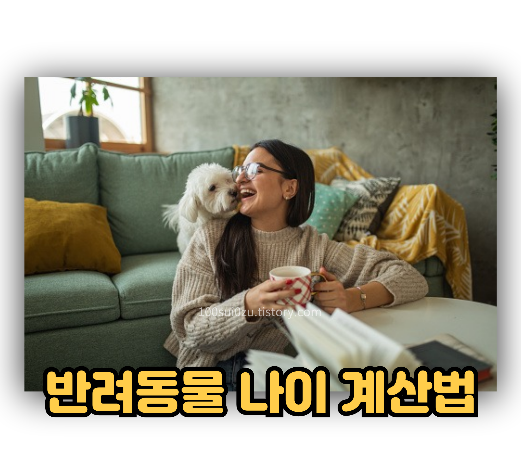 반려동물-나이-계산법.JPG