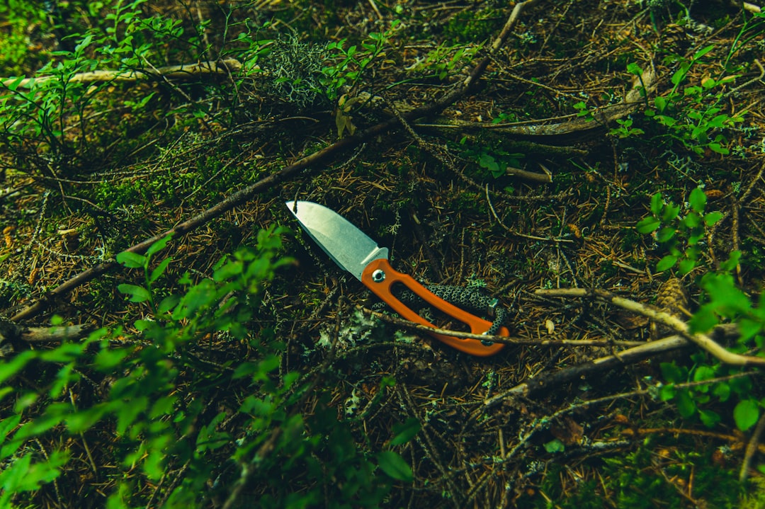 Blade