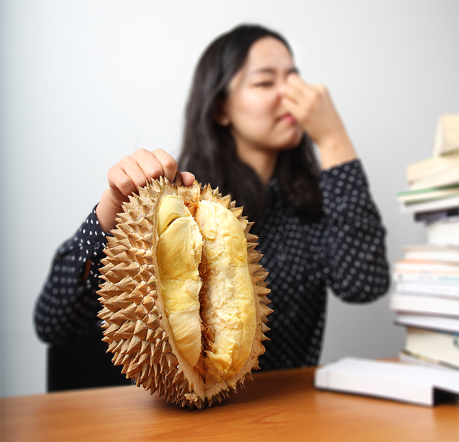 치앙마이 두리안