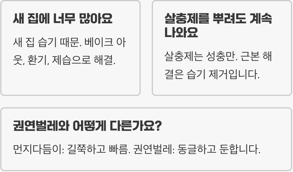 먼지다듬이 발생 원인과 특징 총정리 – 집안에서 자주 보이는 작은 벌레의 정체
