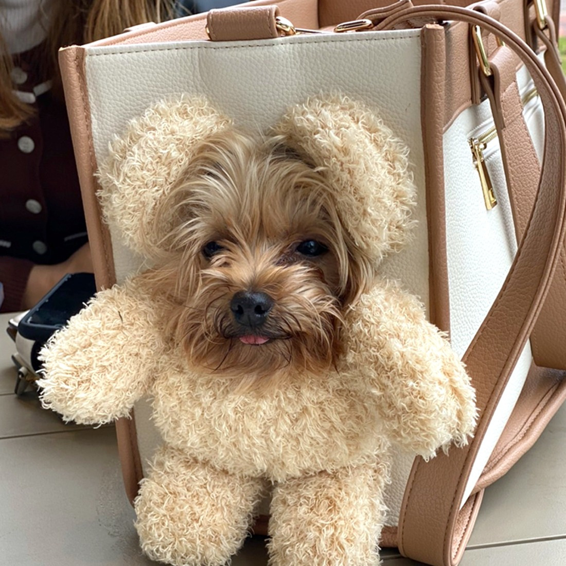 아키즈펫 빼꼼캐리어