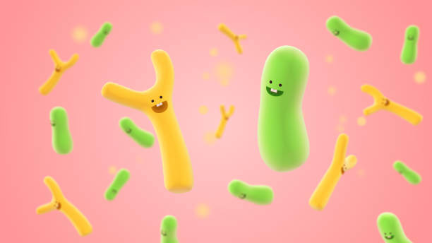 프로바이오틱스 유산균 복용시간과 부작용. 유산균은 시간이 제일 중요하다는 걸 그때 처음 알았습니다. 프로바이오틱스를 직접 섭취하되 프로바이오틱스가 풍부한 식품으로 보충하는 것도 가능합니다