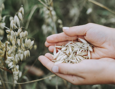 당뇨에 좋은 음식 16