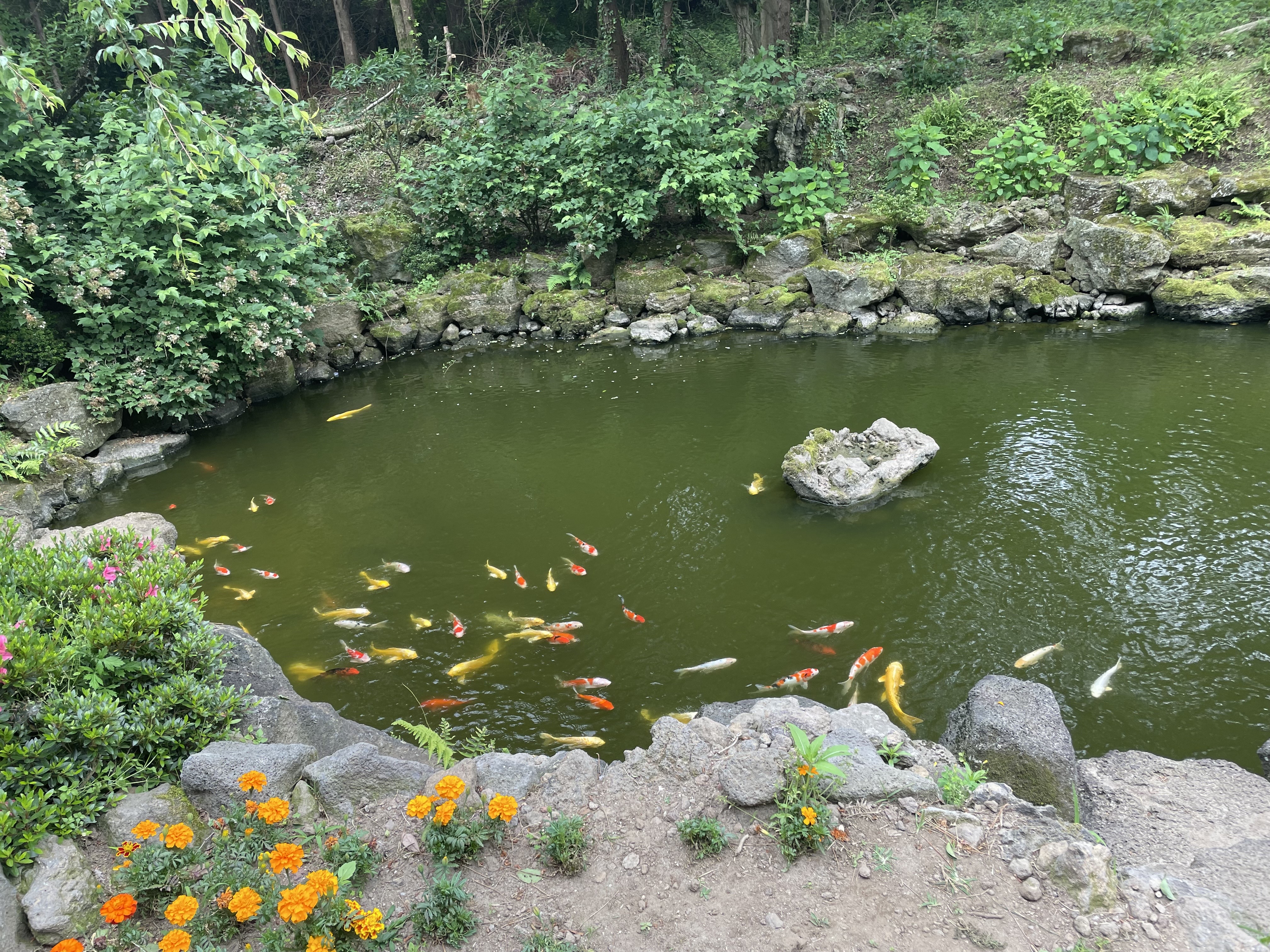 제주_서쪽_아이와