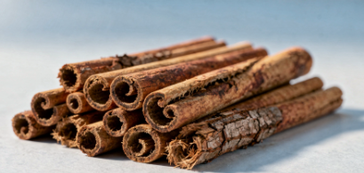 계피 효능