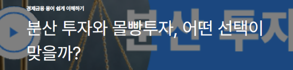 분산 투자와 몰빵투자, 어떤 선택이 맞을까?