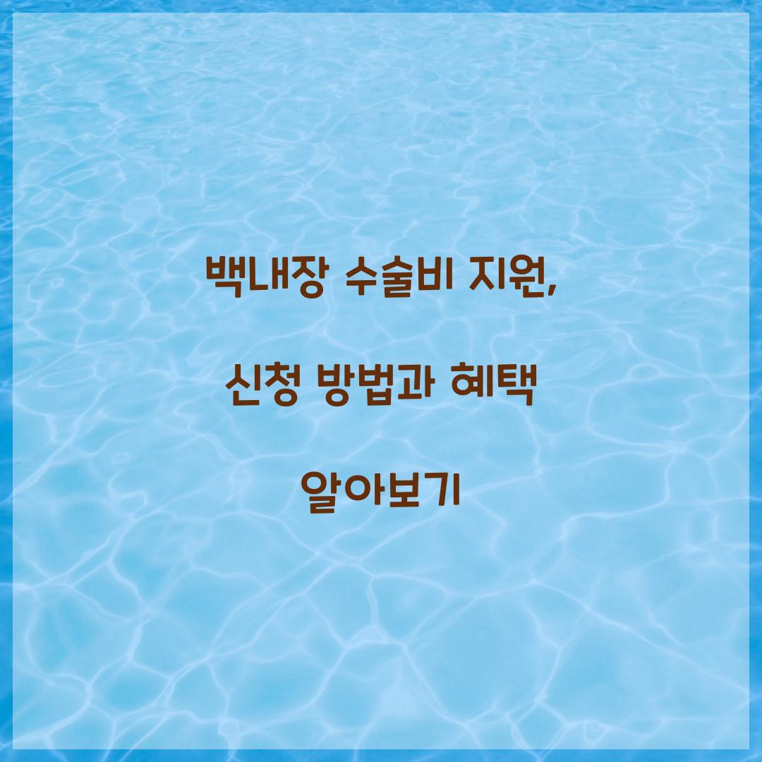 백내장 수술비 지원