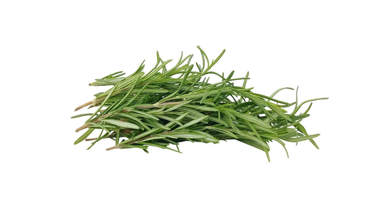 허브를 티백·드라이가공하면 매출이 2배가 됩니다 – 실전 수익 공장화 전략