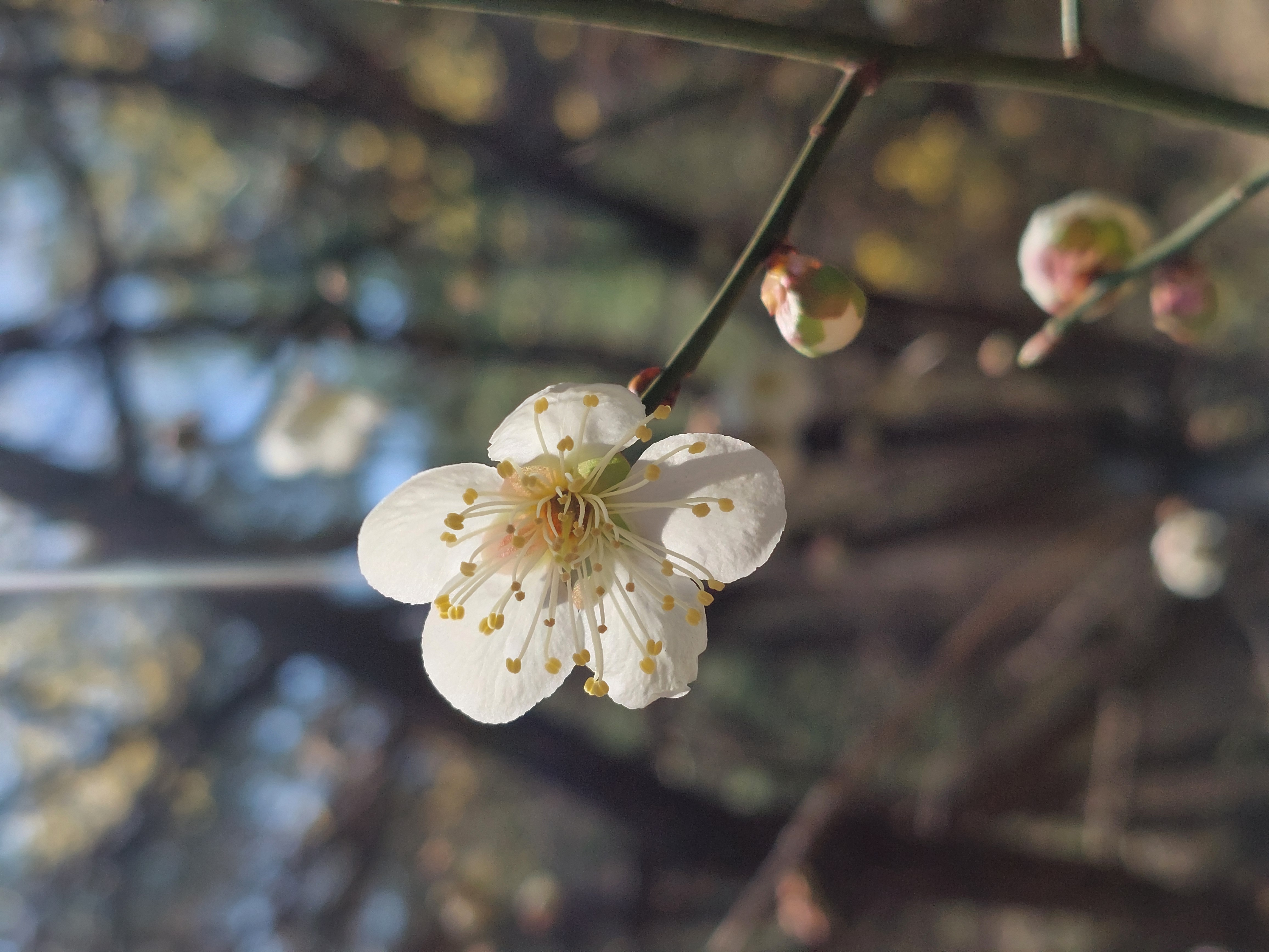 안산
