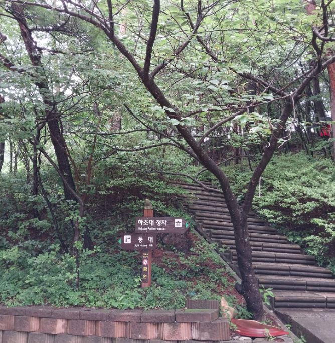 강원도 일출 명소 추천 낙산사 영금정 하조대