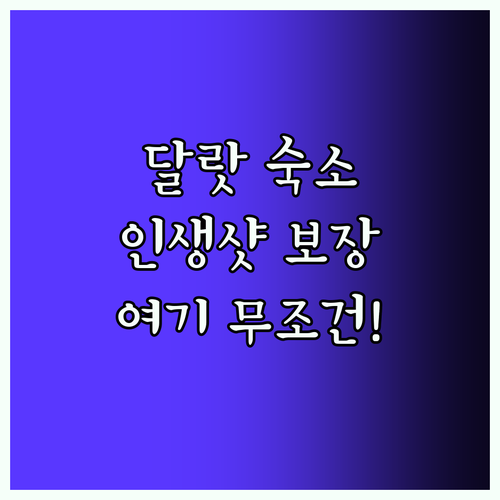달랏 여행 필수! 인생샷 보장 호텔 