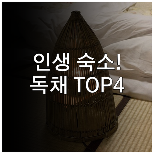 일본 미야자키 고바야시 숙소 추천 T..