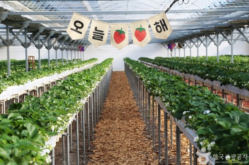 김해 가볼만한곳 베스트 10