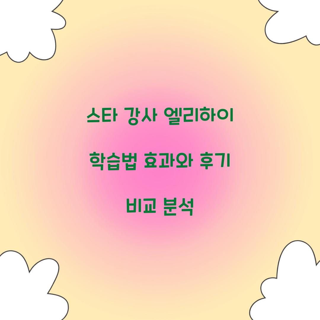스타 강사 엘리하이 학습법
