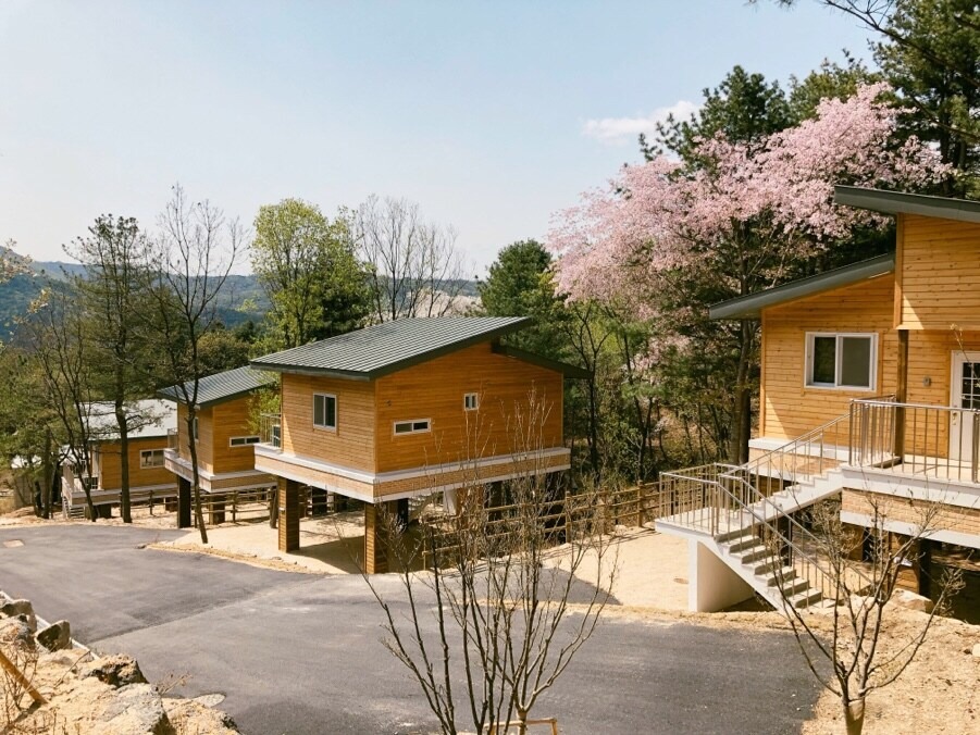 철원 두루웰 숲속문화촌