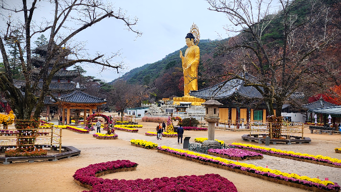 속리산 법주사 대불