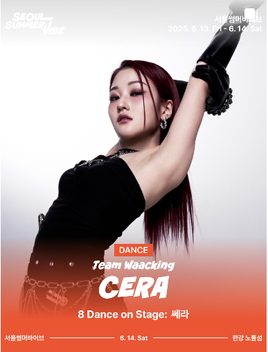 서울썸머바이브 축제정보 입장방법