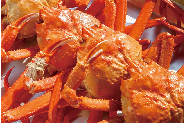 키토산/키토올리고당