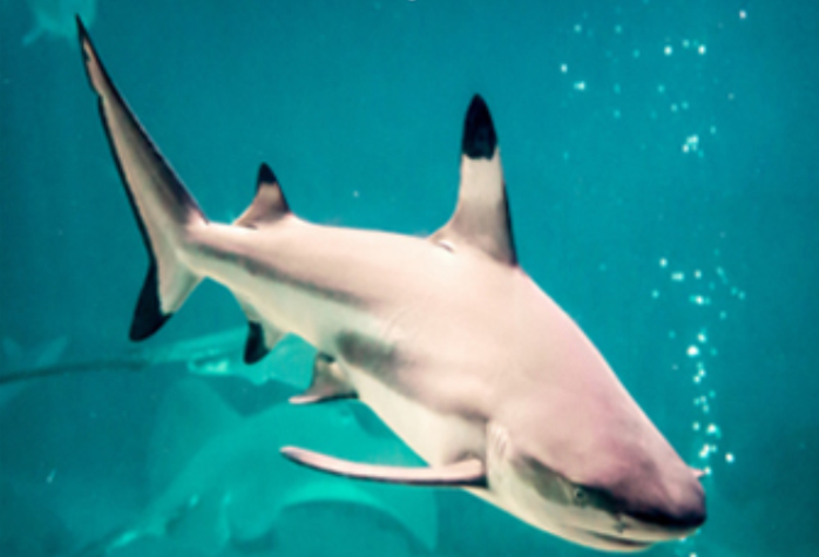 울진 아쿠아리움