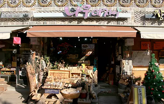 XR버스 1795행과 함께하는 수원 실내 여행