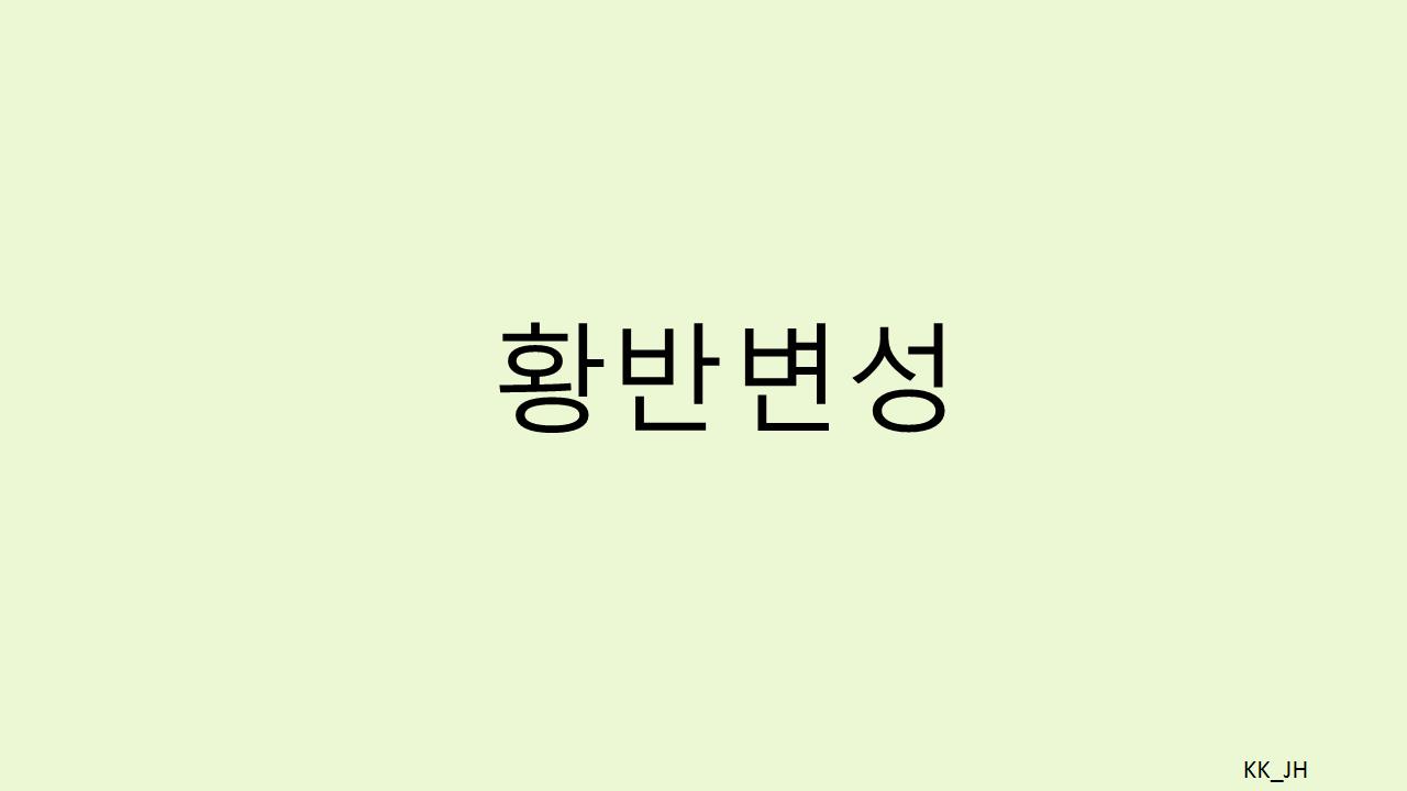 안과 전문의가 말하는 황반변성: 원인부터 장애등급까지