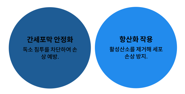 밀크씨슬 효과