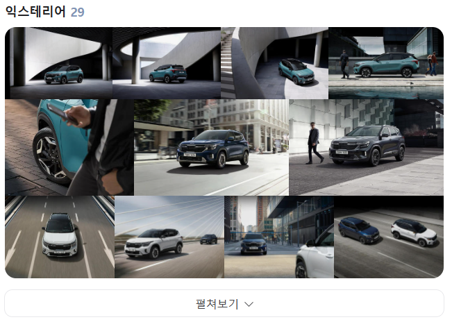 셀토스