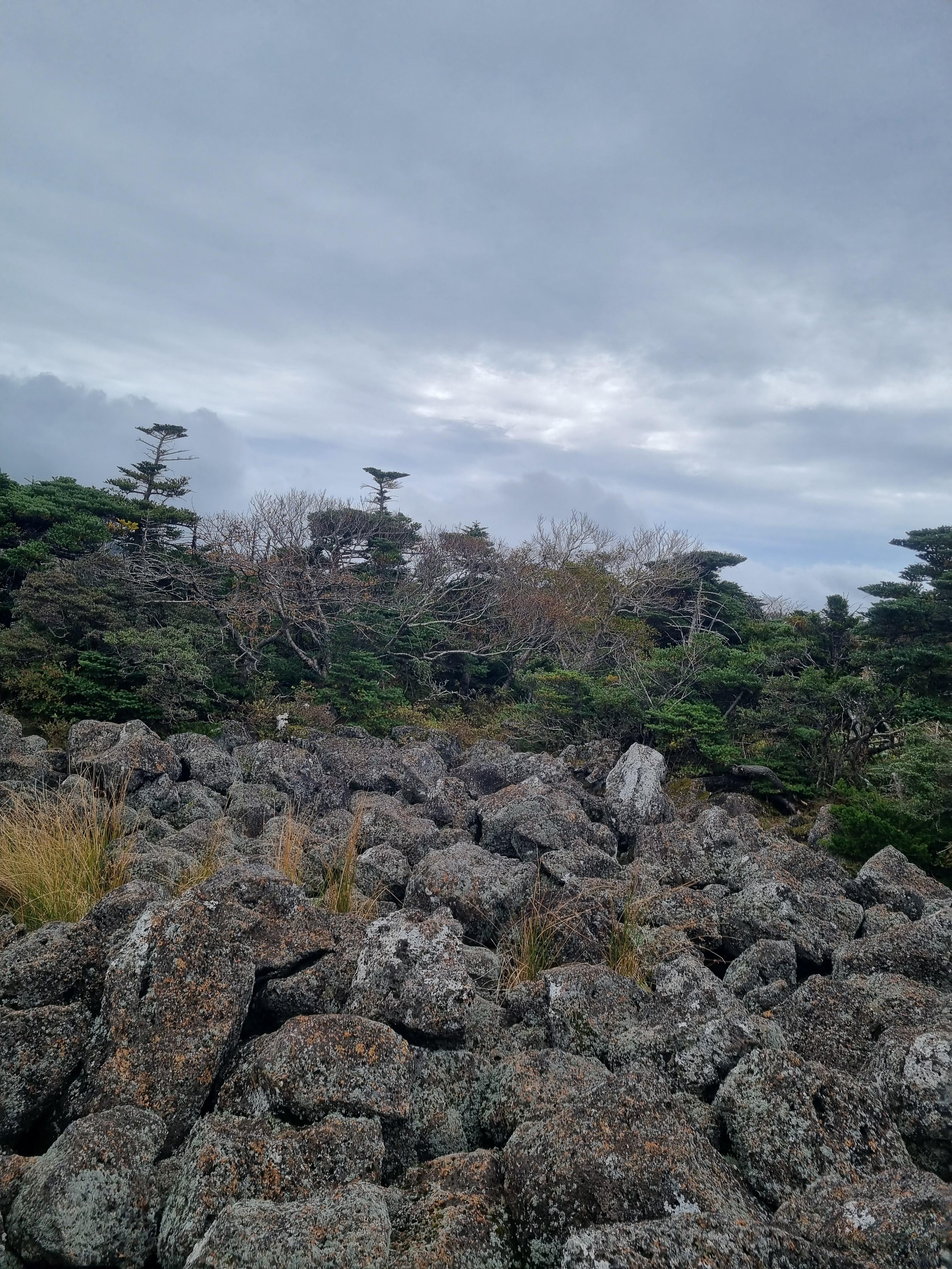 윗세오름 영실코스