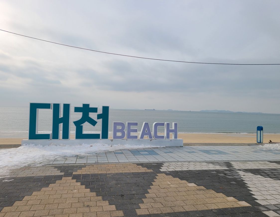 대천해수욕장 & 머드축제