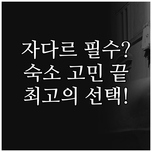 자다르 숙소 총정리 내 여행을 완성할..