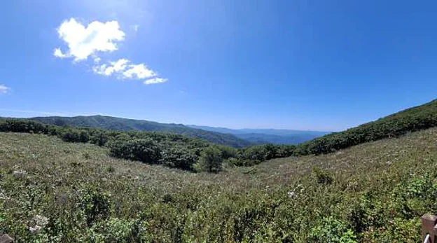 점봉산