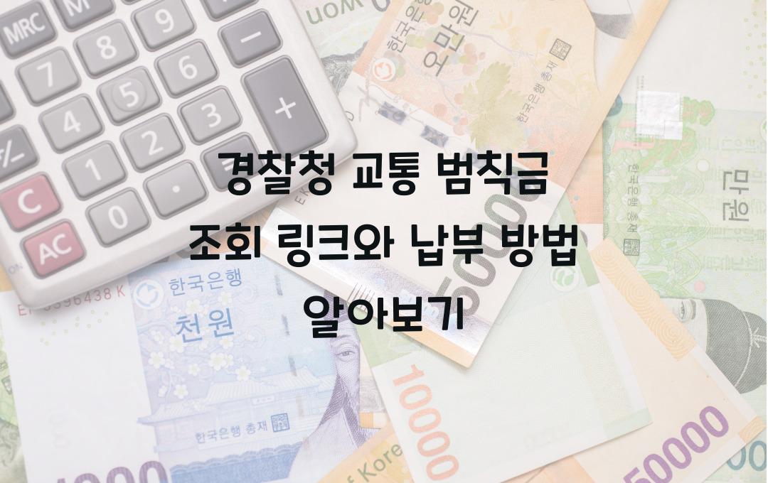 경찰청 교통 범칙금 조회 링크