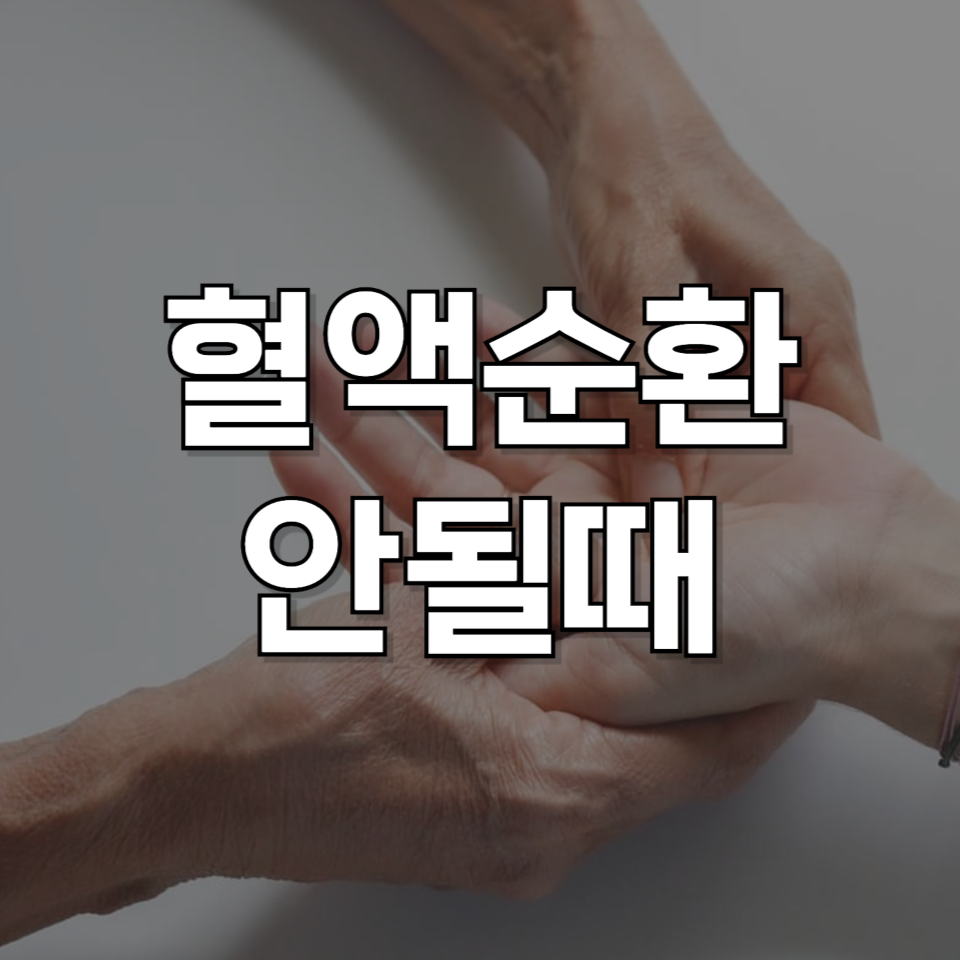혈액순환 안 될 때? 손발 저림부터 피로까지, 원인과 해결법 총정리!