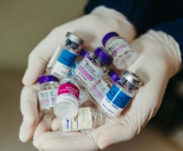 독감배신종류-사진1