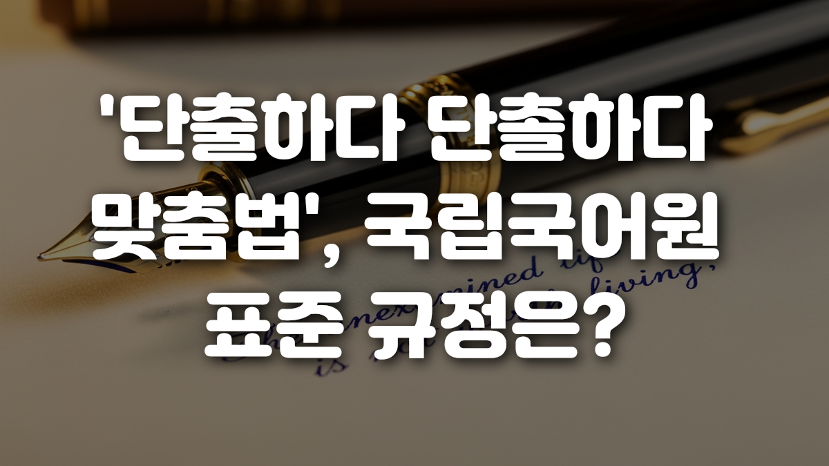 단출하다 단촐하다 맞춤법 국립국어원 표준 규정은