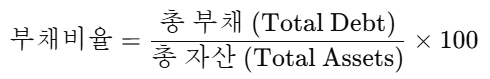 부채비율의 공식