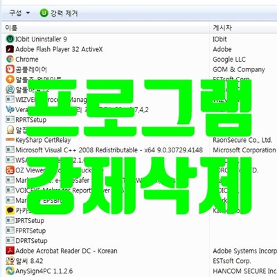 프로그램 강제삭제