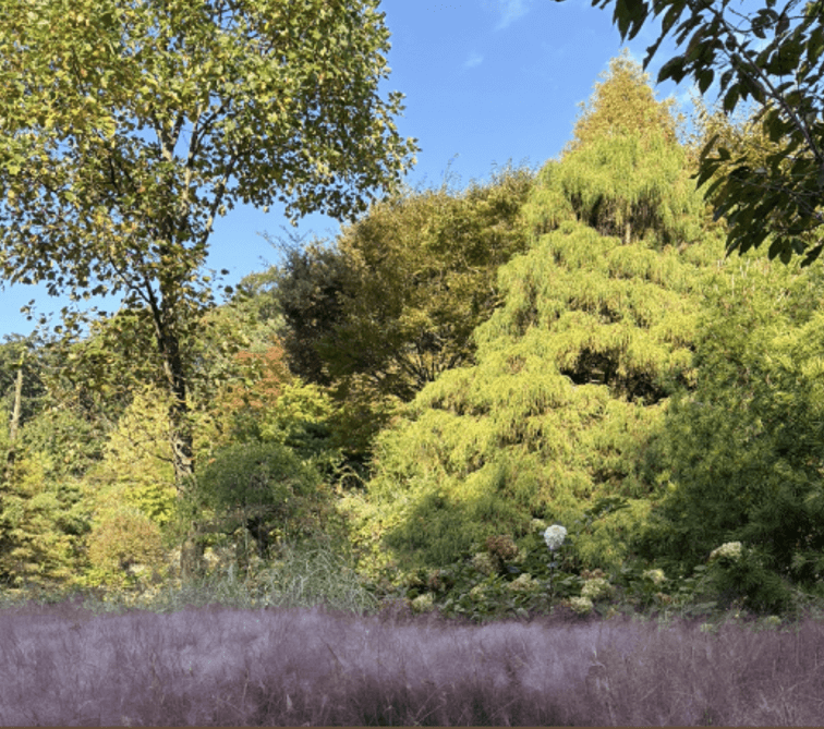 화담숲 예약 방법