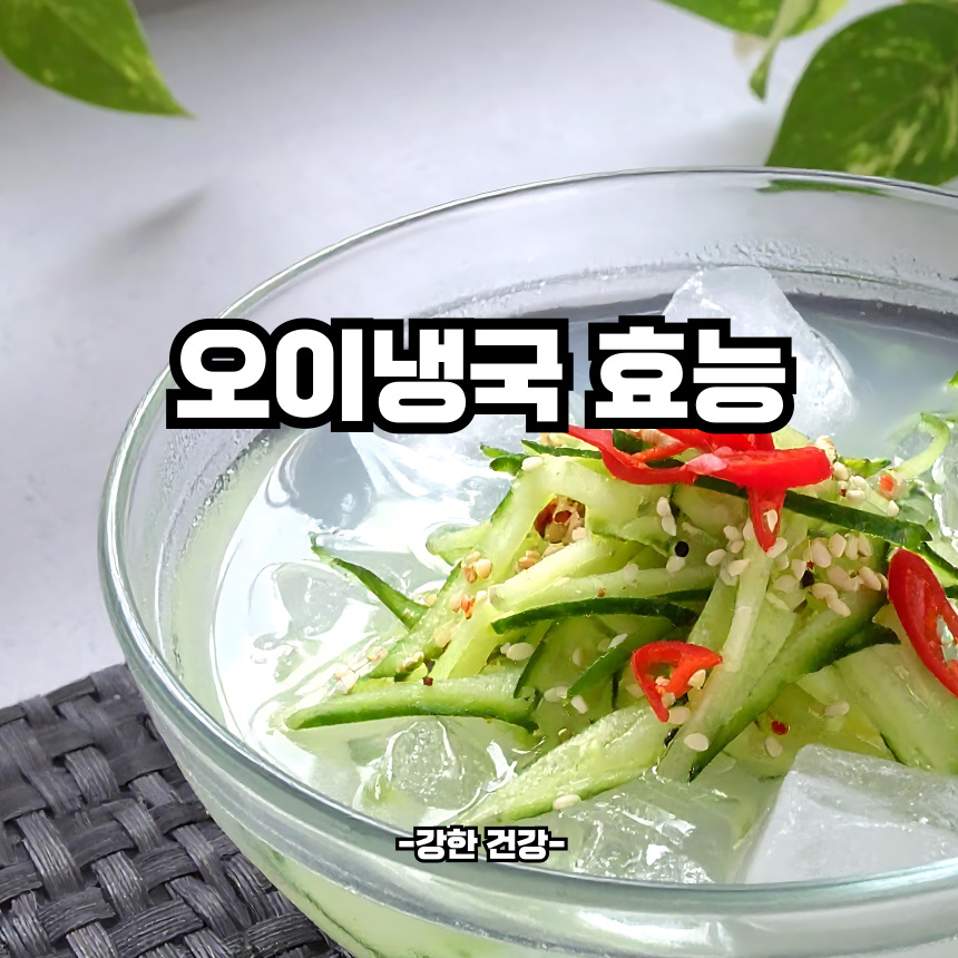 오이냉국 효능
